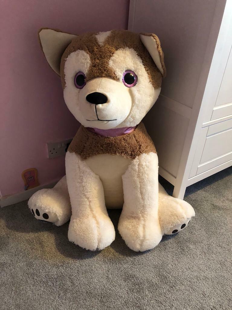 giant dog teddy